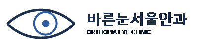 바른눈 서울안과 로고